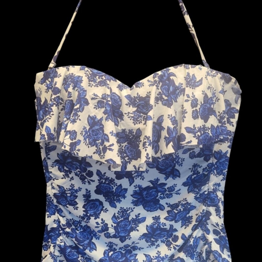 Daniel Cremieux Blue Floral Ruffle Tankini Swimsuit - Women's
